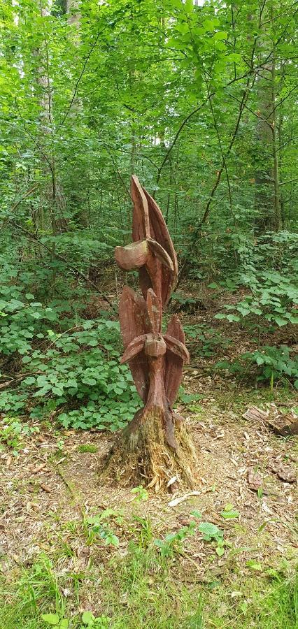 ホテルKulturhaus Bettenhausen Rhonblick エクステリア 写真